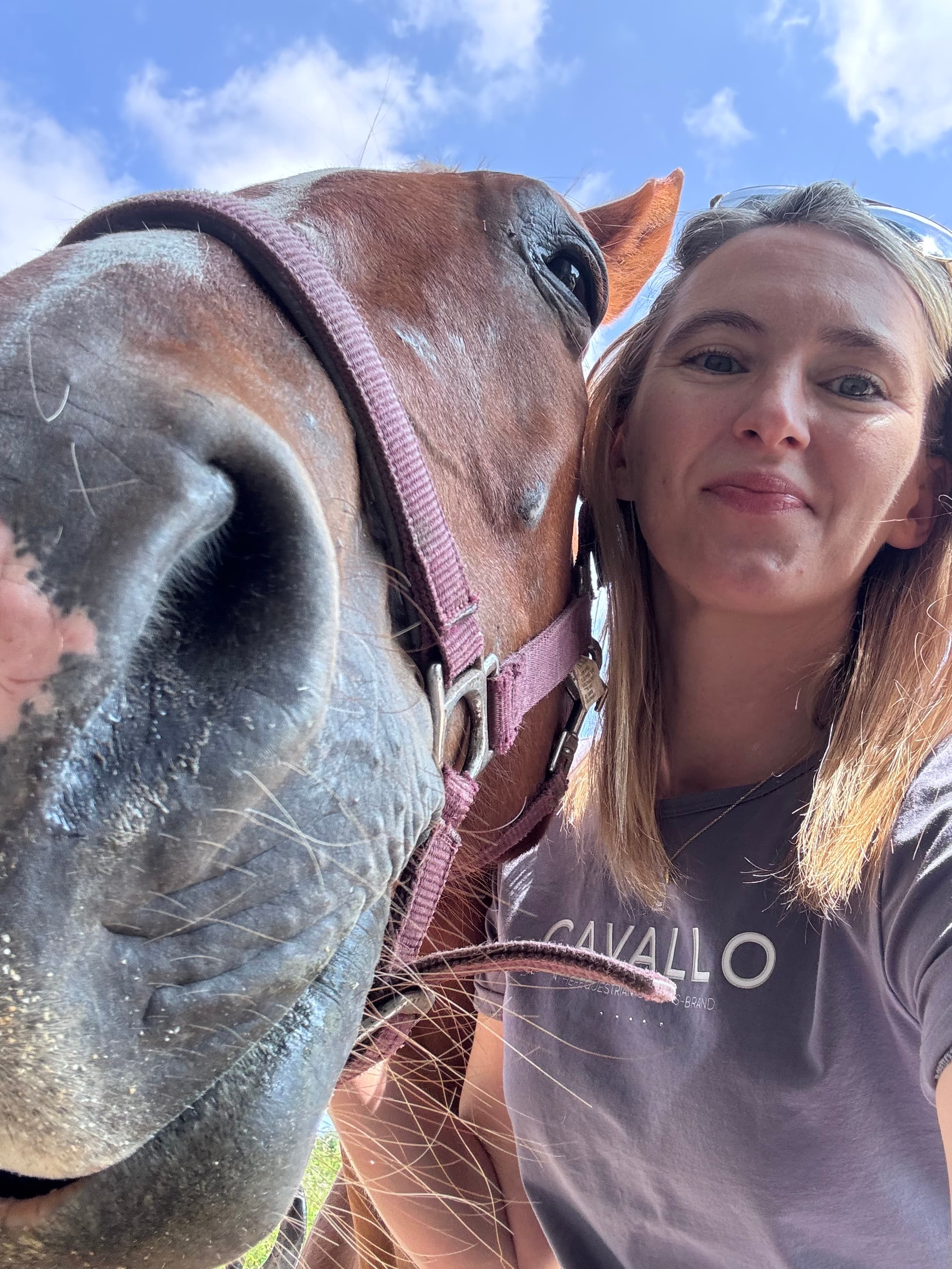 Selfie of a woman smiling next to a brown horse wearing a purple halter outdoors.