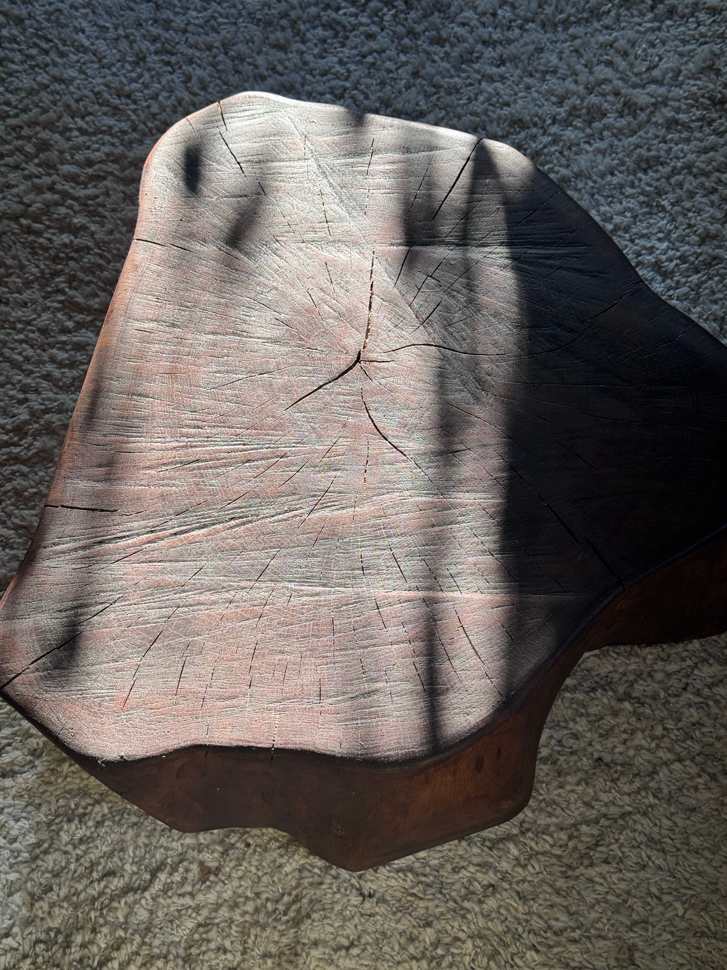 Polished wood tree trunk cross-section with visible growth rings and shadows on a textured rug.