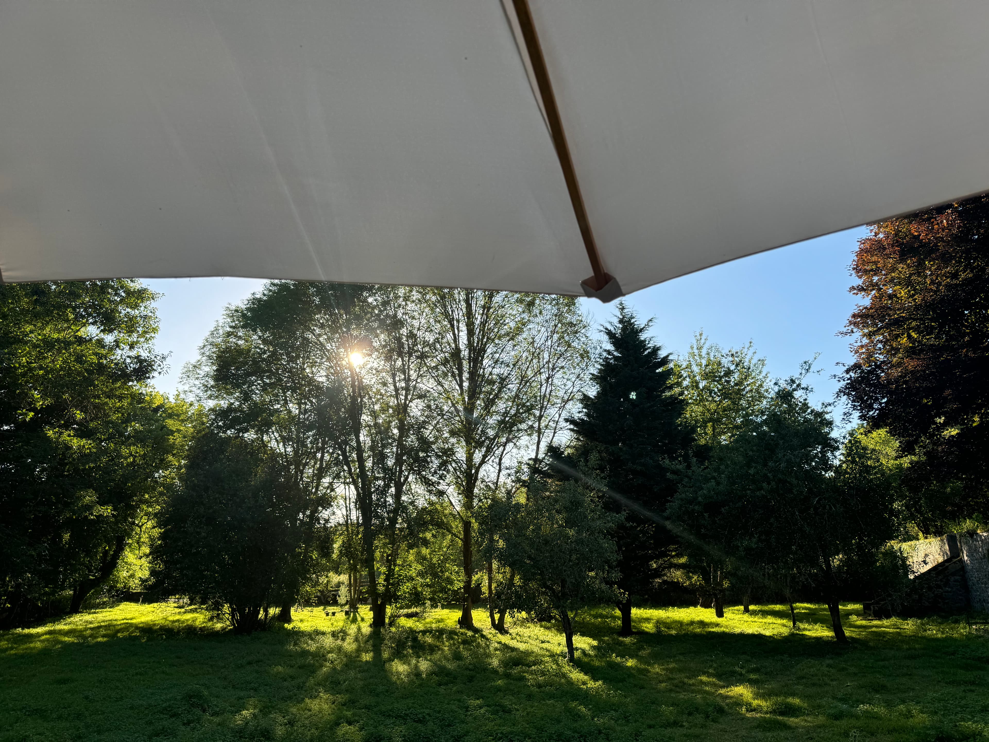 Sunlight filters through lush trees onto a green lawn, seen from under a white umbrella.
