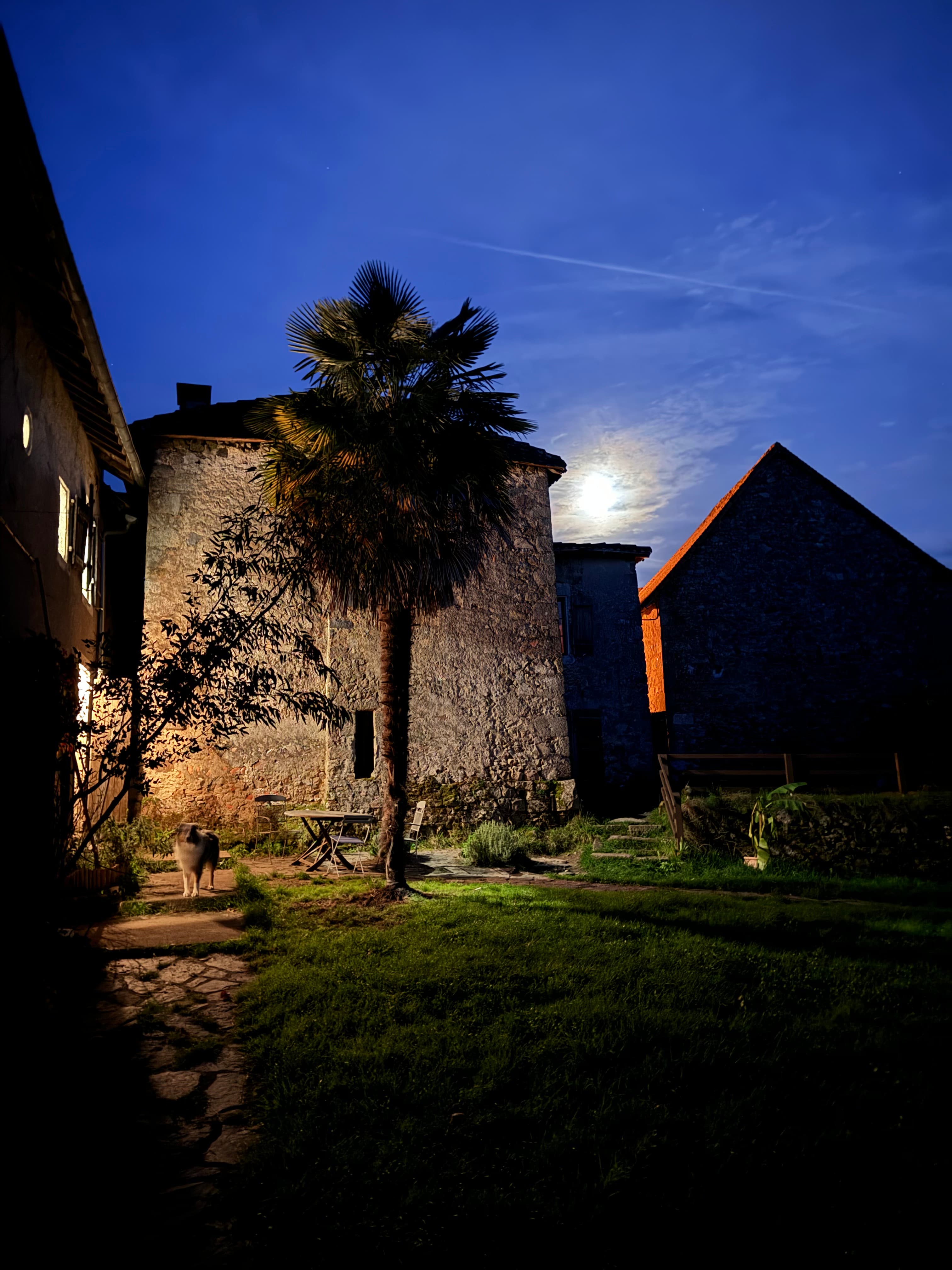 Stone building and palm tree under a bright moon in a deep blue night sky.