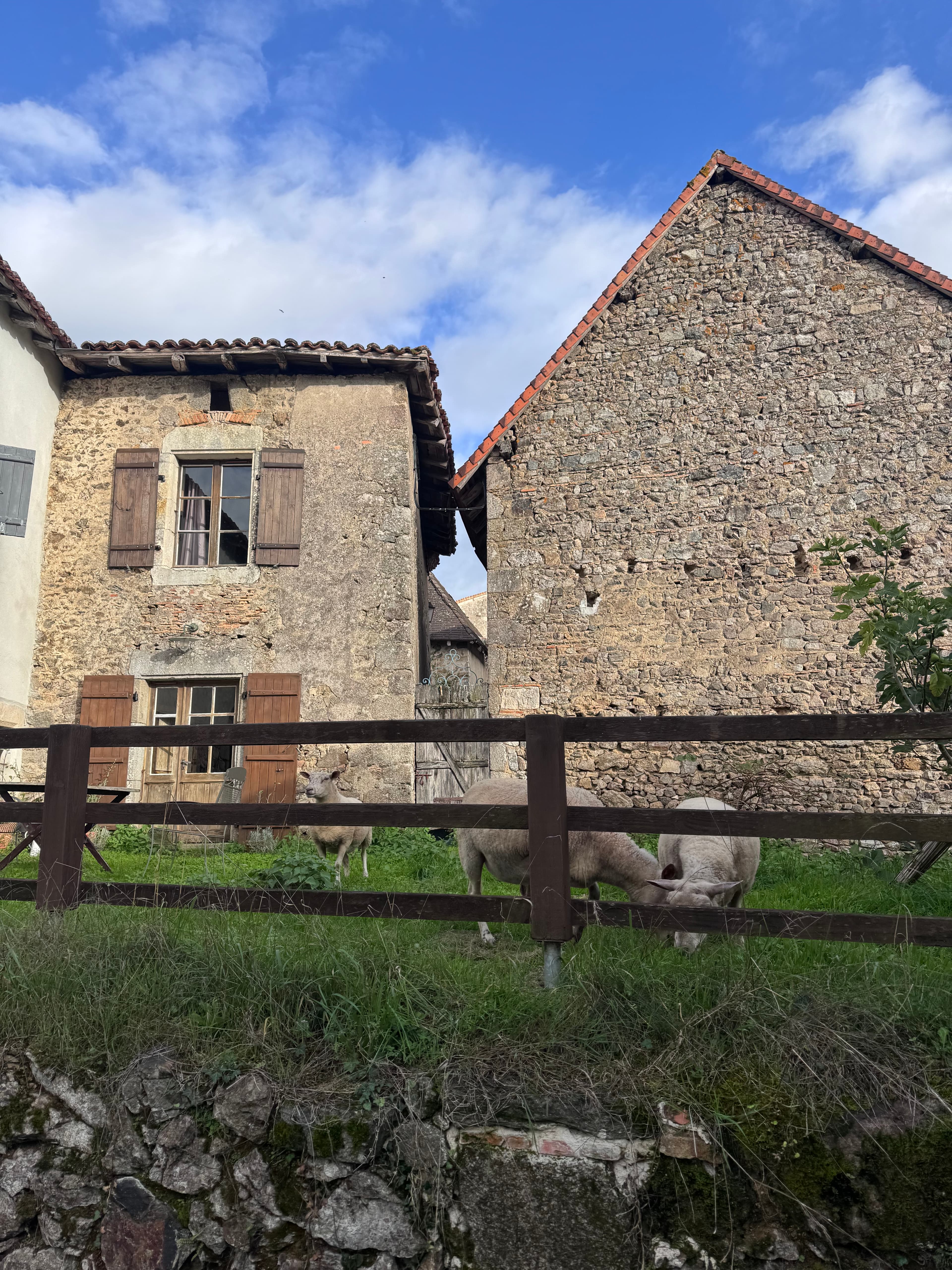 Sheep graze behind a wooden fence next to a rustic stone farmhouse with brown shutters.