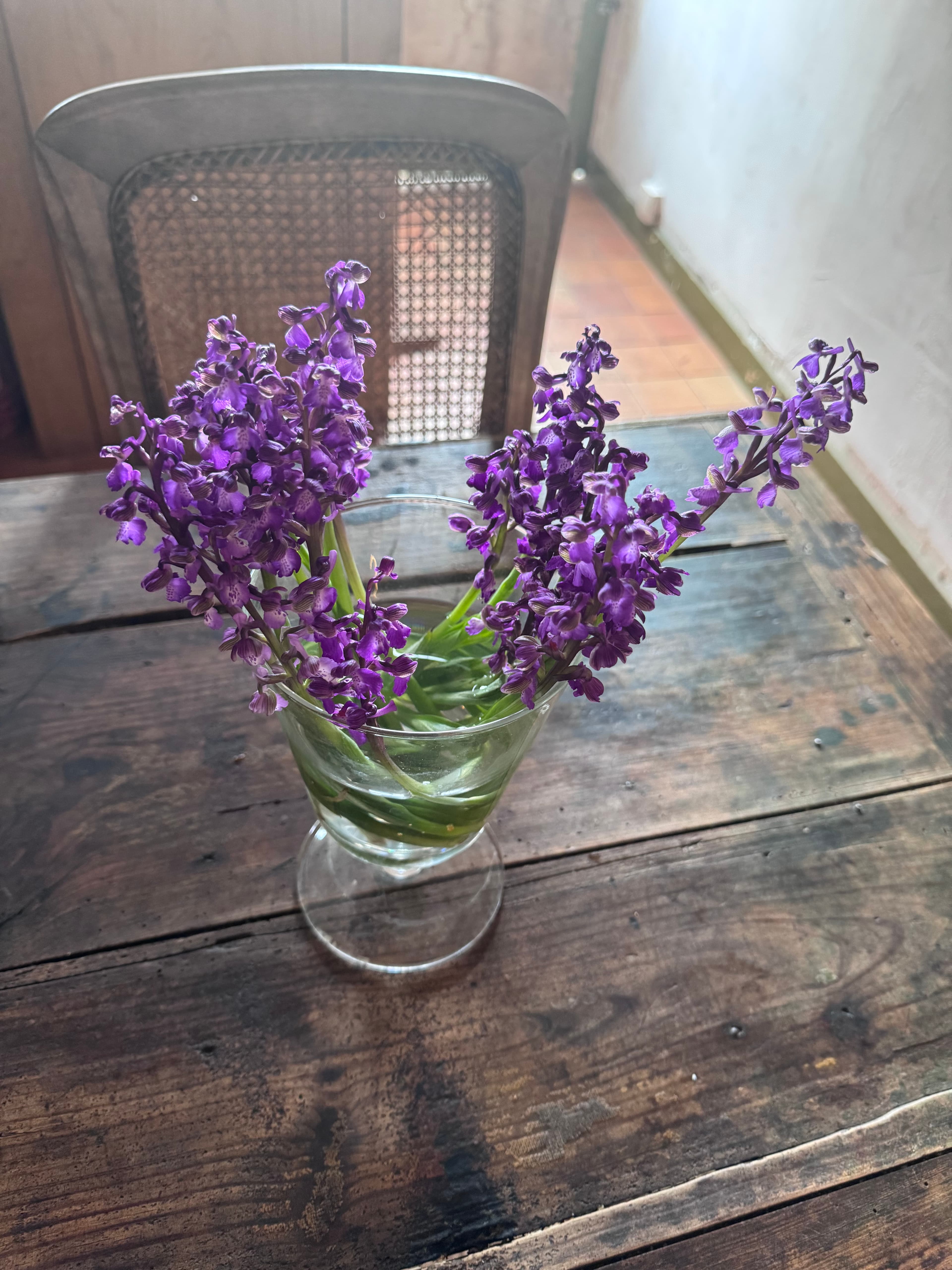Vibrant purple flowers in a clear glass vase on a rustic, dark wooden table.