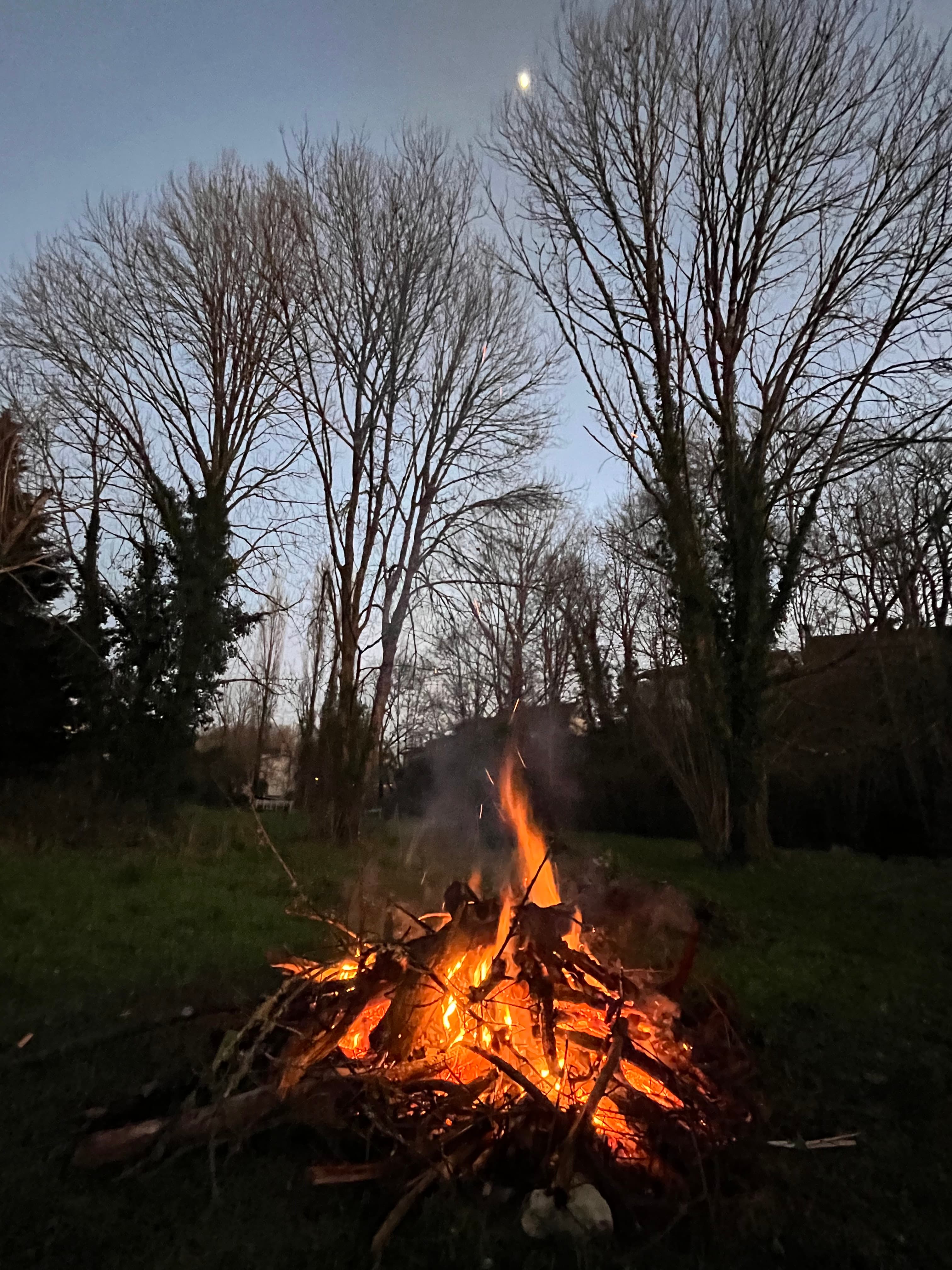 Glowing orange bonfire crackles beneath bare winter trees under a dim, moonlit evening sky.